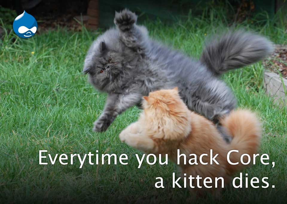Drupal Meme: Never Hack Core or Cat Dies