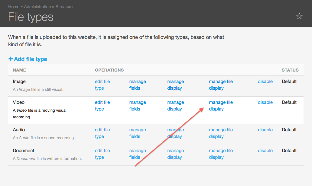 Add Image Style to Drupal File Type